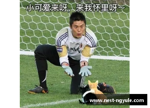 ng娱乐足球球星与他们心爱的猫咪们的幸福生活揭秘