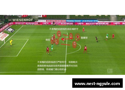 ng娱乐勒沃库森逆袭：德甲前四梦想重燃，不来梅沦为过客 - 副本