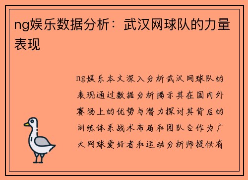 ng娱乐数据分析：武汉网球队的力量表现